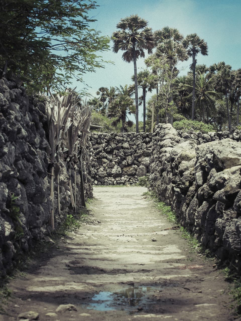 Coral-stone walls on Delft Island
